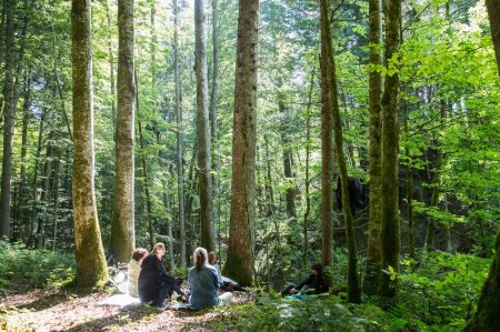 Eine Gruppe Gäste meditiert im Juni 2019 beim Waldbaden in Haubers Wald nahe Oberstaufen, Allgäu.