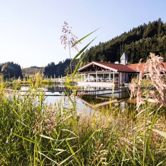 Der Haubers Natursee liegt direkt vor dem Wellnessbereich des Erwachsenenhotels, Haubers Naturresort im Allgäu.