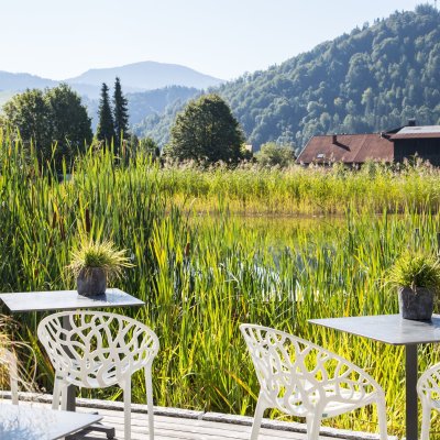 Unsere grüne Seeterrasse