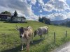 Nette Nachbarschaft
