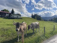 Nette Nachbarschaft