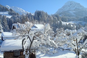 Ausblick vom Balkon Fewo. Rubihorn