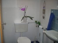 Separates WC