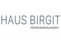 Schriftzug Navi grau