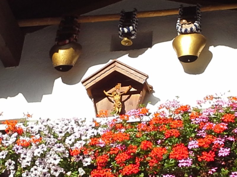 Blumen 2015