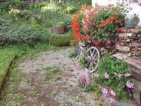Blumen 2015