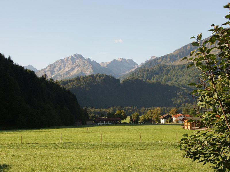 Blick über die Wiesen