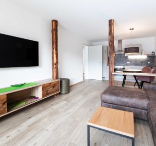 Innenansicht Wohnzimmer mit Sofa, Fernseher und Küche im Hintergrund.