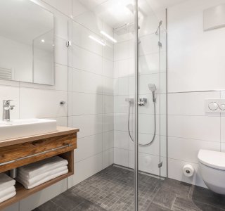 Badezimmeransicht mit Dusche, Waschbecken und WC.