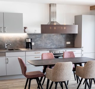 Bild von der Küchenzeile in einer der Ferienwohnungen.