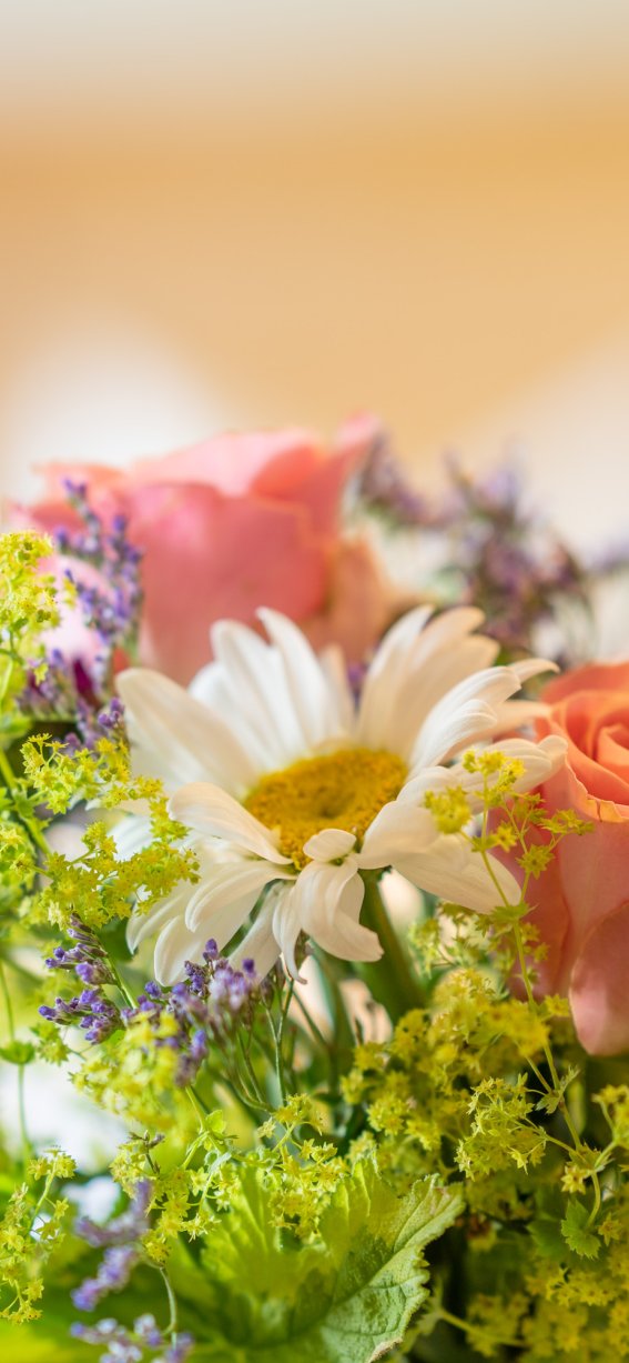 Detailfoto Blume