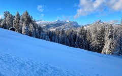 Winter am Söllereck