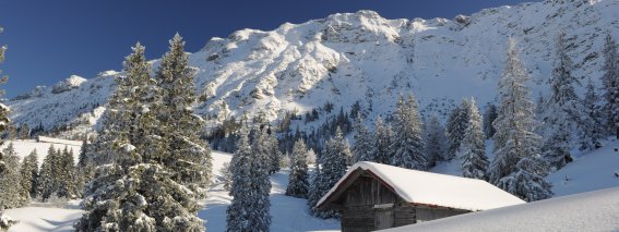 Iseler Hütte