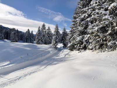 Wer das Wandern liebt, kann seiner Leidenschaft in Unterjoch auch im Winter frönen.