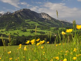 Frühling