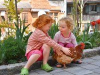 Kinder mit den Hennen