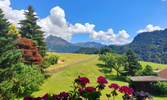 Die Aussicht zeigt eine grüne Wiese mit Bäumen und Bergen. Blumen stehen im Vordergrund. Der Himmel ist blau mit Wolken.