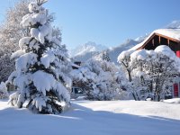 Garten im Winter