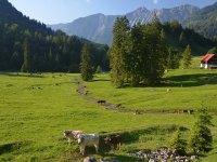 Hintersteiner Tal - Bad Hindelang