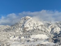 29772B95-EB5E-4F96-8488-4F55D95A90DB