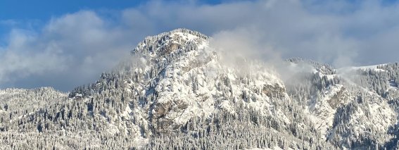 29772B95-EB5E-4F96-8488-4F55D95A90DB