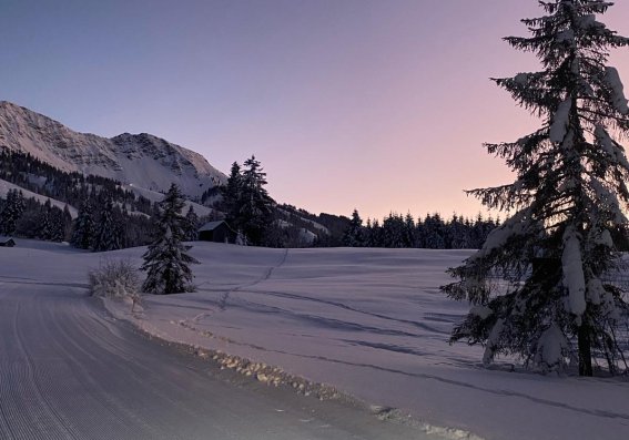 11abe55d-c41d-4ef5-98c3-a6e26701b094