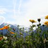 Aussicht auf die Berge