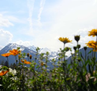 Aussicht auf die Berge