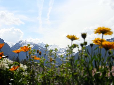 Aussicht auf die Berge