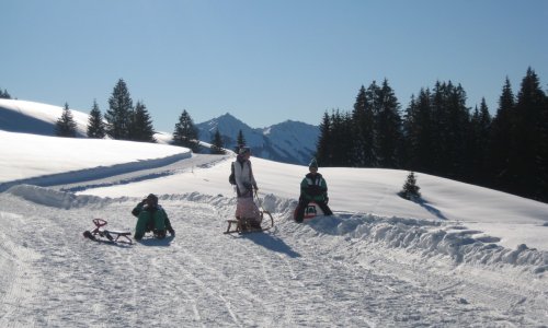 Rodeln im Winter