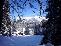 Wintertraum