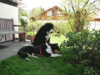 Lisa mit Hunde-Gast Ira