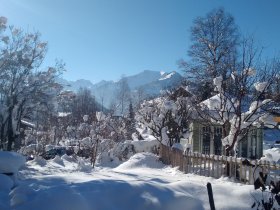 Unser Garten im Winter