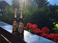 sonniger Balkon