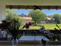 2025-Kornau-35-A-8-Wohnzimmer-Ausblick