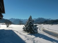 Wintertraum