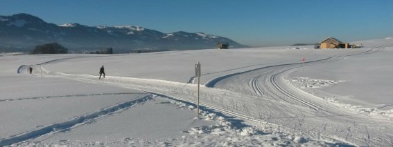 Loipe vor dem Hemerhof Direkt an unserem Gästehaus verläuft bei guten Schneeverhältnissen eine Langlaufloipe bis nach Oberstdorf.