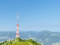 Db4417df-f257-40e3-9db8-7509c8ea9a5a