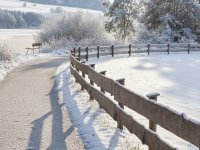 Winterspaziergang am Grüntensee