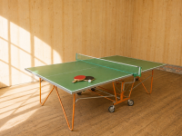 Tischtennisplatte