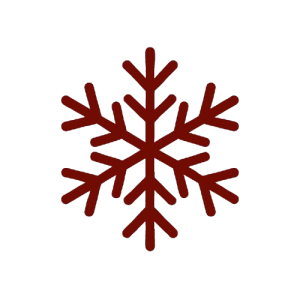 Icon_Winter_Schneeflocke