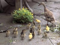 wir 18 u. Mama
