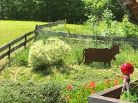 Gartenblick vom Südbalkon