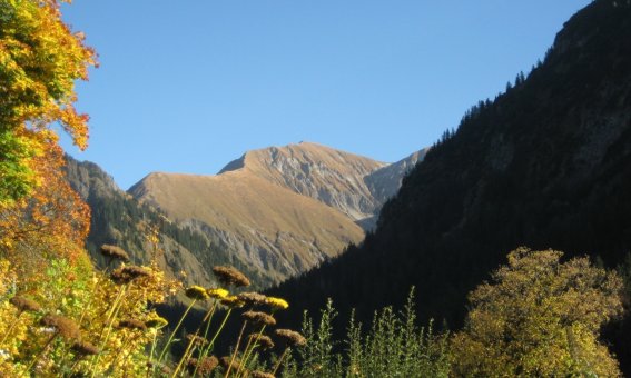 Herbst
