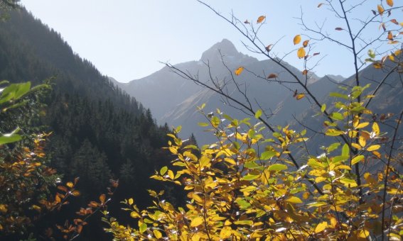 Herbstbilder 007