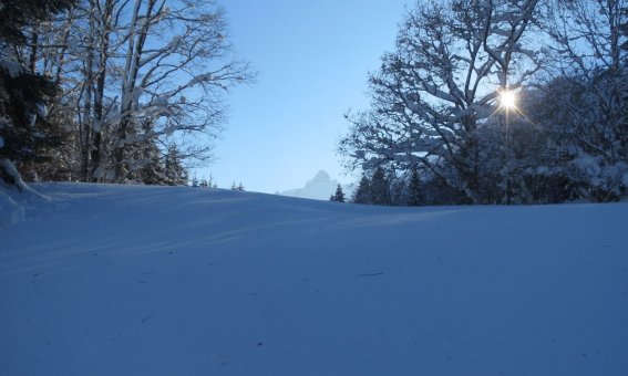 Winter im Trettachtal