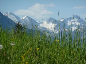 Frühling