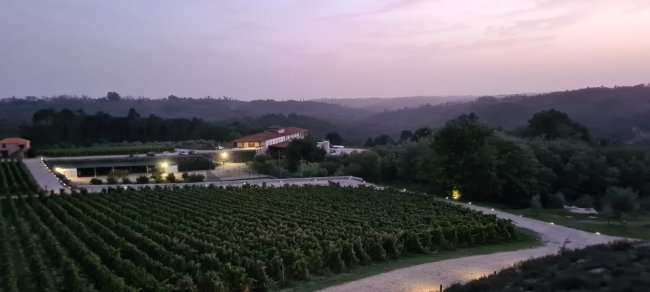 Weingut Quinta de Lemos