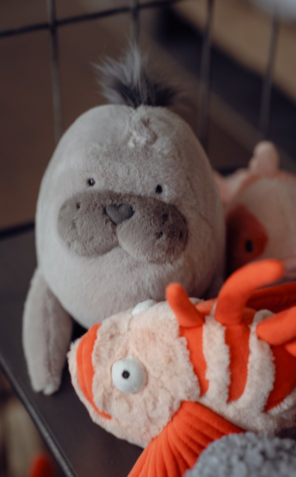 Kuscheltiere zum Verlieben