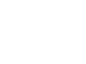 SCANTEX